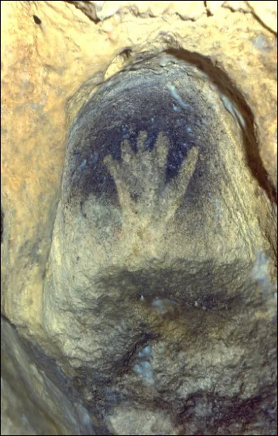 À Gargas on peut tout voir, gravures et peintures animales, signes géométriques, symboles sexuels et surtout des mains négatives. La grande majorité de ces mains est incomplète, il manque une ou plusieurs phalanges. Problèmes divers ou doigts repliés ? Mystère !
Où est située cette grotte ?