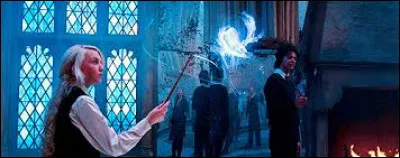 Quel métier de Poudlard voudrais-tu faire ? (2)