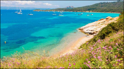 Située dans le prolongement de la presqu'île de Giens, elle est la plus grande des îles d'Hyères.À découvrir : au nord, le port et des plages de sable fin ; au sud, des falaises et des calanques ; entre les deux, des vignobles et une flore remarquable. Où êtes-vous ?