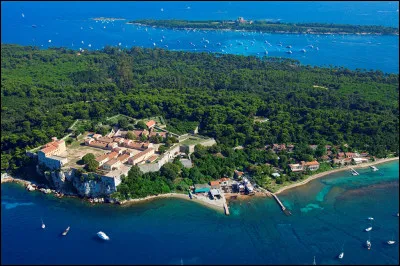 Les îles de Lérins sont administrées par la commune de Cannes.
Dans quel département sont-elles ?