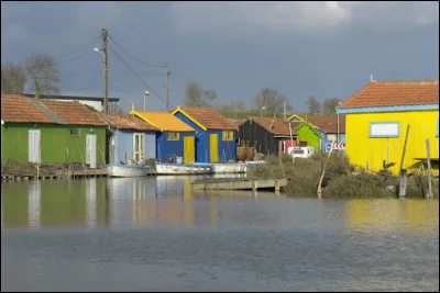 La station balnéaire de Saint-Trojan-les-Bains et sa vaste pinède, le fort Louvois en forme de fer à cheval, les parcs à huîtres ! Le pont vous permet d'accéder à cette île où, enfant, Pierre Loti venait en vacances. 
Où êtes-vous ?