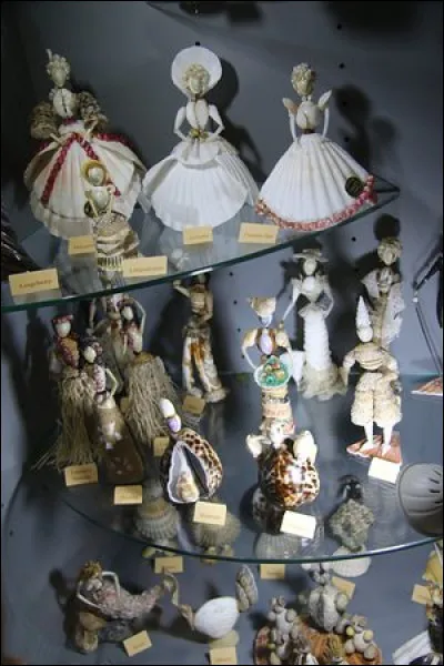 Entre la presqu'île de Fouras, Fort Boyard et l'île d'Oléron, découvrez la ''perle de l'estuaire de la Charente''. Visitez le musée Napoléon et la maison de la Nacre, faites le tour de l'île à pied en 2 heures, sur...