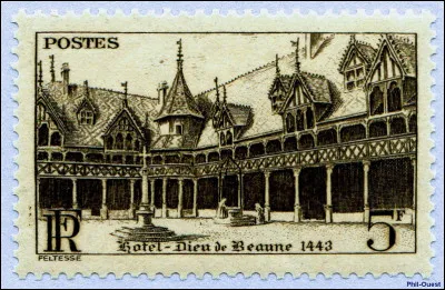 Si vous êtes amateur de grands vins, ne ratez pas l'occasion, 5 kilomètres de caves vous attendent !