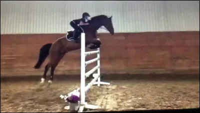 Comment réagirais-tu si on te proposait de sauter un obstacle de 1,20 m de hauteur avec ton cheval préféré ?