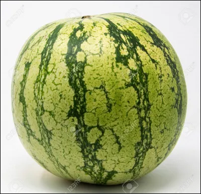 Qu'est-ce qui est en rapport avec ces trois mots : ministre, melon, magie ?