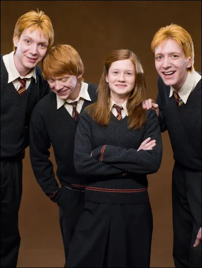 Qu'est-ce qui est en rapport avec ces trois mots : Weasley, farces, facétieux ?