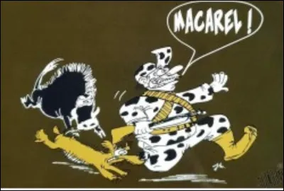 Qu'est ce que le babaou, en Occitanie ?