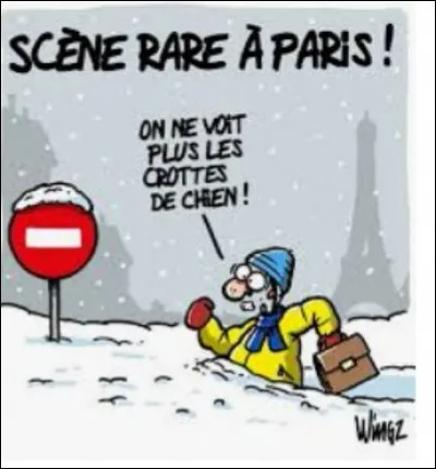 Par quel peintre Auvers-sur-Oise, en Ile de France, a été immortalisée plusieurs fois ?
