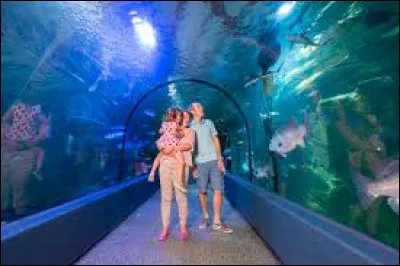 Dans quelle ville peut-on retrouver l'Océarium ?