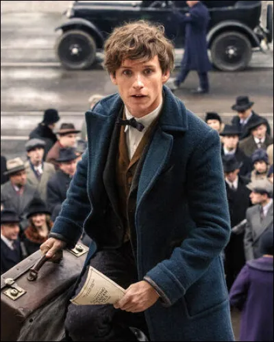 Quel est ce personnage des Animaux fantastiques ?