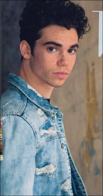 Quelle est la couleur préférée de Cameron Boyce ?
