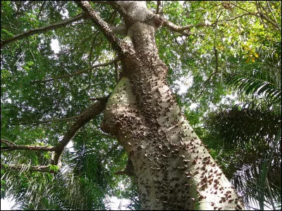 Dans quel métier parle-t-on de recherchon ?