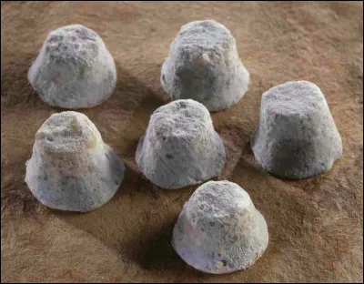 Un indice : Allez à Mâcon, con !