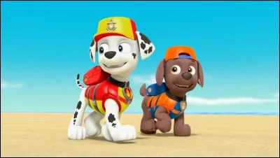 Science de la vie et de la terre - Comment est appelée la projection à la surface de la terre du point d'origine d'un tremblement de terre ?