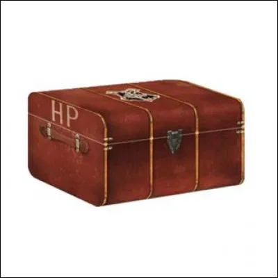 Maintenant que ce petit questionnaire est terminé, dis-moi.... Quel objet mettrais-tu en premier dans ta valise ?