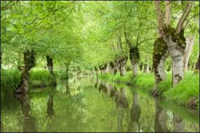 Comment qualifie-t-on la partie orientale du marais poitevin ?