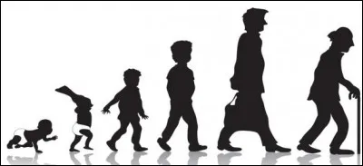 Quelle est l'espérance de vie d'un orang-outan de Bornéo ?