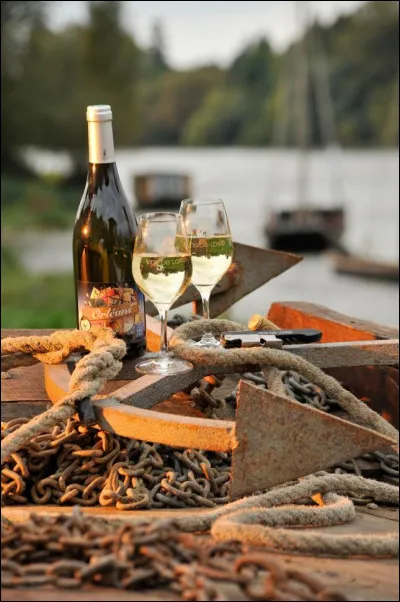 Les vins de l'Orléanais ont obtenu trois Appellations d'Origine Contrôlée, deux en 2006 (Orléans et Orléans-Cléry) et une en 1998. Quelle est cette 3e appellation ?