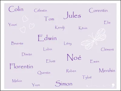 Quel prénom masculin préfères-tu ?