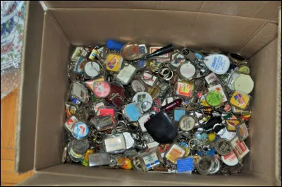 Par quel mot désigne-t-on la collection de porte-clés ?