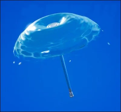 Ce parapluie est celui...