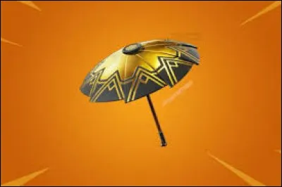 Celui-ci est le parapluie...