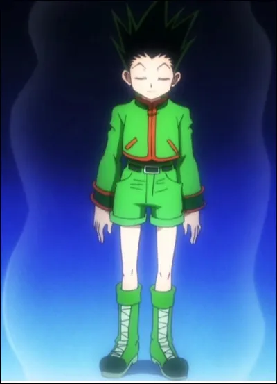 Comment s'appelle la capacité de Nen pour faire disparaître son Nen ?