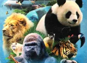 Quiz Les animaux