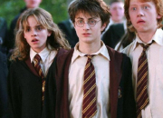 Test Harry Potter : Qui es-tu ?