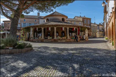 C'est une halte sur le chemin de Compostelle où l'on entre par l'une de ses trois portes. Sur la place entourée de maisons en briques on admire une halle aux grains circulaire, unique dans le Sud-Ouest. Quel est ce village du 82 ?