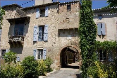 Monestiés se loge dans une boucle du Cérou. Le village est entouré par les lices, promenade occupant l'emplacement des douves et des anciens remparts. Où se situe ce village ?