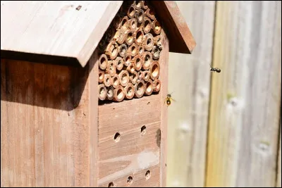 On dit de vous que vous êtes...
