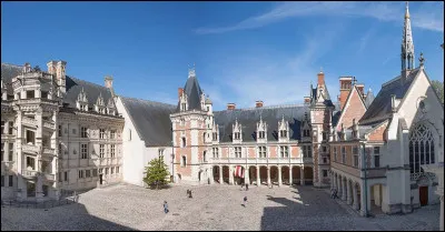 Le château de Blois se distingue par ses trois styles architecturaux : gothique, Renaissance et classique. Quel prince, qui aspirait à gouverner la France, y fut assassiné en 1588 sur ordre du roi Henri III ? On le surnommait "le Balafré".