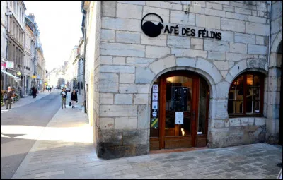 Besançon est une ville fabuleuse ! Elle est vraiment très jolie. Aujourd'hui, dernière journée à Besançon, vous vous rendez au Café des Félins. Il se trouve au 206 Grande Rue.