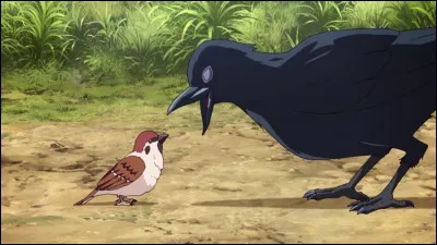 Quel est l'animal que tu préfères ?