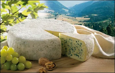Je ne pouvais pas vous quitter sans vous demander quelle est la petite ville iséroise, réputée aussi pour son château et pour ses grottes, qui a longtemps donné son nom à ce fromage, désormais soumis à l'appellation de "bleu du Vercors" ?