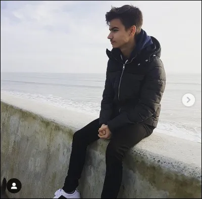 Est-il en couple ? (2020)