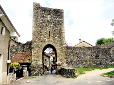 Le pittoresque village d'Yvoire ne se découvre qu'une fois passée l'une de ses deux portes gothiques percées dans les tours de garde de son château. En voici une, vue de l'extérieur du bourg ancien !