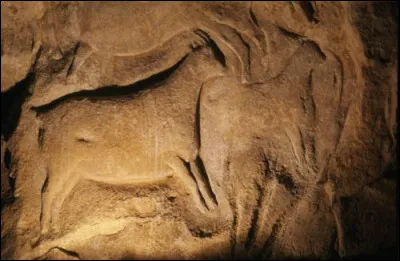 Bien avant l'hypothétique présence de ces Germains commence l'histoire de ce village de 357 habitants, il y a 150 siècles, époque ...