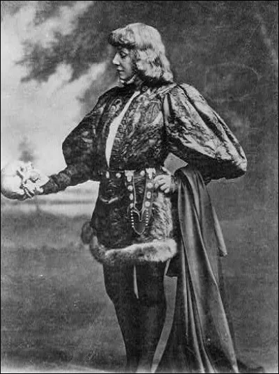 Quel arbre est un fayard ?