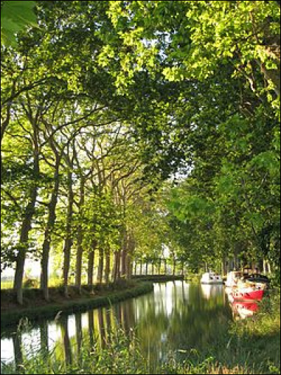 Occitanie - Le Canal du Midi. Vrai ou faux : le Canal du Midi est inscrit au patrimoine mondial de l'UNESCO.