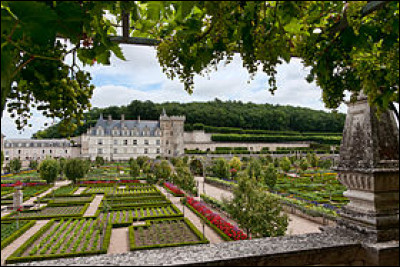 Centre-Val de Loire - Le Château de Villandry. Dans quel département ce château et ses magnifiques jardins se trouvent-ils ?Indice : Tours