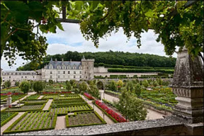 Centre-Val de Loire - Le Château de Villandry. Dans quel département ce château et ses magnifiques jardins se trouvent-ils ?
Indice : Tours