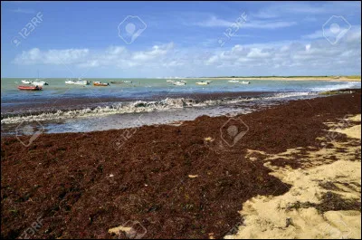 "L'Éternel Retour" est un long-métrage joué par...
