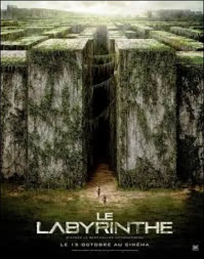 Qui est le maton des bâtisseurs ?