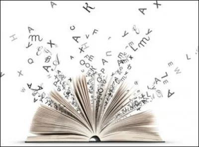 Comment s'appelle l'&eacute;tude de l'&eacute;volution des mots ?