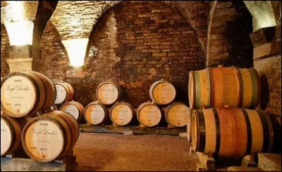 Quelle substance donne au vin son go&ucirc;t rugueux ?