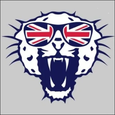 Comment dit-on guépard en anglais ?