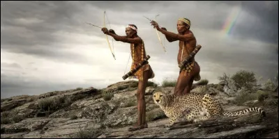 Selon une légende du peuple San (ensemble de peuples autochtones d'Afrique australe) à qui le créateur opposa le guépard pour déterminer quel était l'animal le plus rapide sur Terre ?