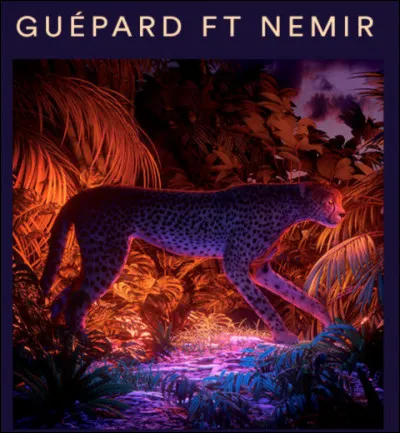 Quel célèbre Youtubeur français a sorti en 2020 une chanson intitulée "Guépard", en featuring avec le chanteur Nemir ?